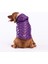 Mor Light Wave Anorak Yelek Köpek Yeleği Köpek Kıyafeti Köpek Yağmurluk Xl 1