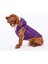 Mor Light Wave Anorak Yelek Köpek Yeleği Köpek Kıyafeti Köpek Yağmurluk Xl 2