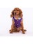 Mor Light Wave Anorak Yelek Köpek Yeleği Köpek Kıyafeti Köpek Yağmurluk Xl 3
