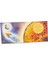 The Story Orchestra The Planets - Jessica Courtney Tickle 5