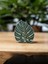 Monstera Yaprak Motifli Buzdolabı Magneti - 2'li - Bioplastik 1