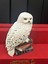 Harry Potter Baykuş Hedwig Karakteri 1