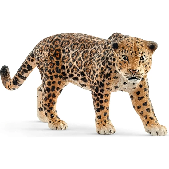 Wild Life Jaguar