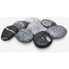 Kamushi Outdoor 8'li Set Yastık ve Yer Minderi