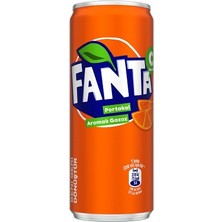 Fanta Kutu 250 ml (24'lü)