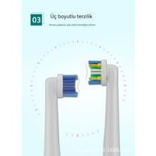 Girlhood And Boyhood Kızlık ve Erkeklik Oralb Elektrikli Diş Fırçaları Için Üniversal Model (Yurt Dışından)