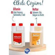 Munich Vet 2li Set Kuşlar Alfamin Ishal + Neftor Hırılti Seti (500 Ml) Set