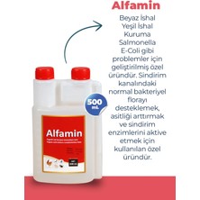 Munich Vet 2li Set Kuşlar Alfamin Ishal + Neftor Hırılti Seti (500 Ml) Set