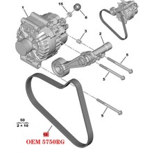 Passing 5750RG 6PK905 Tahrik Kayışı Fan Alternatör Kaburga Kayışı Peugeot 308CC Rcz Citroen C4 Ds 3008 1.6 T (Yurt Dışından)