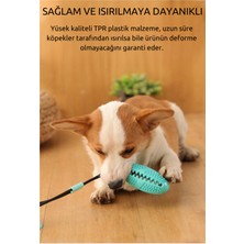 Raikou Çok Işlevli Interaktif Köpek Bulmaca Oyuncak