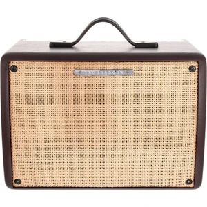 T30II-U Akustik Gitar Amfisi