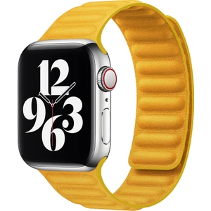 Apple Watch 5 6 7 8 9 Ultra 42 44 45 49MM Uyumlu Manyetik Baklalı Kordon