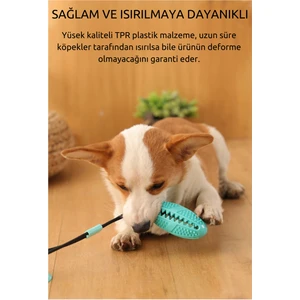 Çok Işlevli Interaktif Köpek Bulmaca Oyuncak