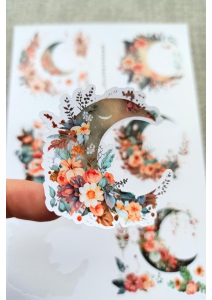 6 Adet Suluboya Çiçekli Hilal Ay Sticker Bullet Journal Scrapbook Laptop Sticker