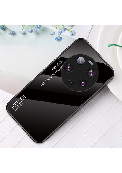 Xiaomi 13 Ultra Gradyan Temsilli Cam Telefon Kılıfı Pc+Tpu Çizgiye Karşı Çizelge Kapak Black (Yurt Dışından) indirimleri