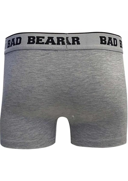 Basic Boxer Erkek Boxer 21.01.03.002GRI Melanj fiyatları