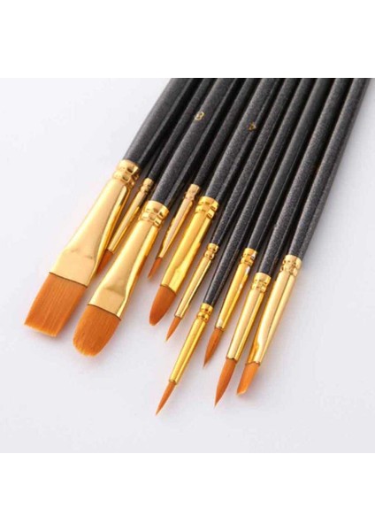 Pasta Fırça Seti 10'lu (Pfs-10)