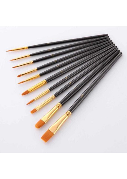 Pasta Fırça Seti 10'lu (Pfs-10) modelleri