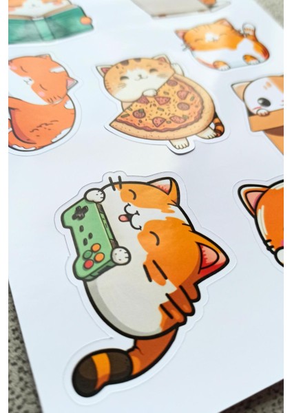 Mona Craftist 8 Adet Kedi Sticker Seti Kedicik Sticker Sevimli Sticker