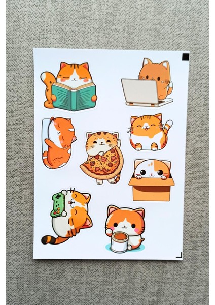 Mona Craftist 8 Adet Kedi Sticker Seti Kedicik Sticker Sevimli Sticker