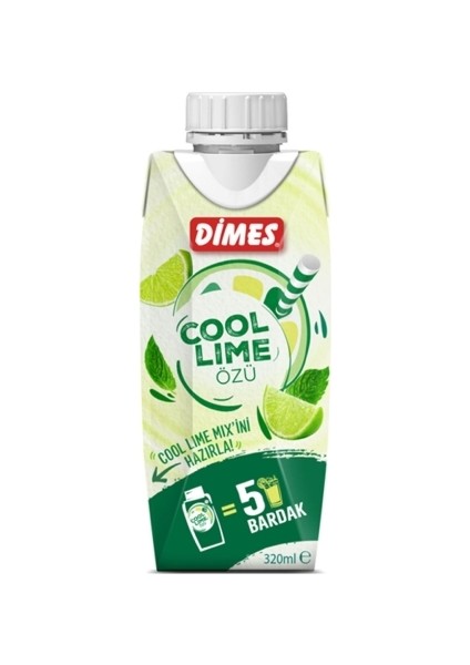 Cool Lime Özü 310 ml (12'li)