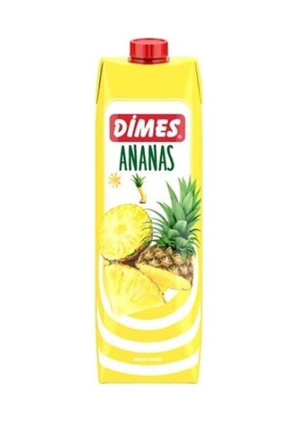 Ananas Meyve Suyu 1 Lt (12'li)