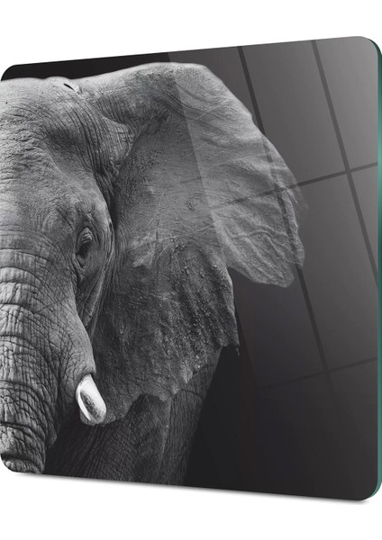 Cam Kesme Tahtası Kare Fil Desenli 30X30 cm fırsatları