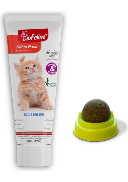 Kitten Paste & Catnip