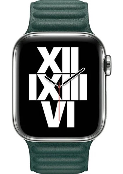 Apple Watch 5 6 7 8 9 38MM 40MM 41MM Uyumlu Manyetik Baklalı Kordon modelleri