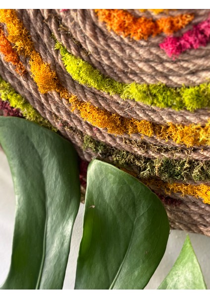 Spiral Jüt Halat Moss-Gökkuşağı 40cm modelleri