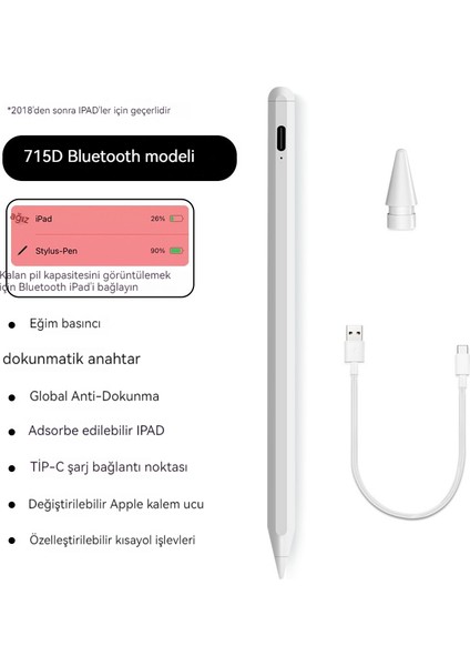 Apple Adsorpsiyon Manyetik Şarj Kalemi Stylus Kalem (Yurt Dışından)