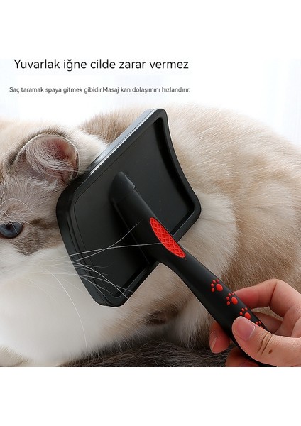 Kızlık ve Erkeklik Köpek Kavisli Tarak (Yurt Dışından) modelleri