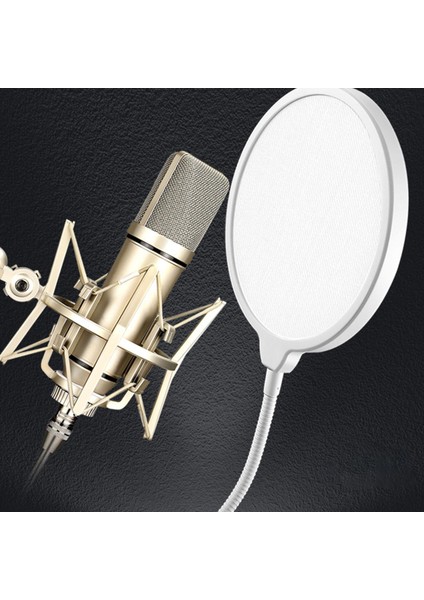 Video Dublaj Yayını Için Mikrofon Rüzgar Perdesi Çok Amaçlı Bükülebilir Kararlı (Yurt Dışından) fiyatları