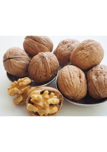 Yerli Kabuklu Ceviz fiyatları