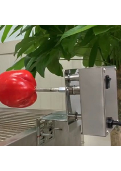 Ağır Et Barbekü Rotisserie Döner Motor Elektrikli Izgara Barbekü Tükürmek Metal Rotisserie Motor Moteur Gerilim Değeri 220V—240V (Yurt Dışından)