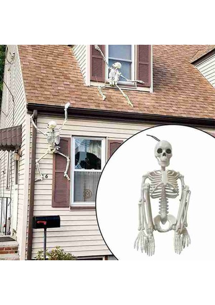 5 Adet Cadılar Bayramı Iskelet Süslemeleri, Cadılar Bayramı Için 16 Inç Tam Vücut Posable Eklemler Iskeletler, Perili Evler Süslemeleri (Yurt Dışından) modelleri