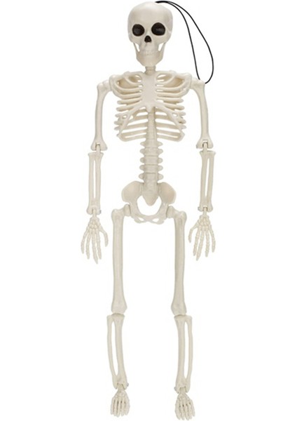 5 Adet Cadılar Bayramı Iskelet Süslemeleri, Cadılar Bayramı Için 16 Inç Tam Vücut Posable Eklemler Iskeletler, Perili Evler Süslemeleri (Yurt Dışından) fırsatları