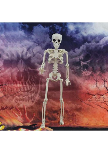 5 Adet Cadılar Bayramı Iskelet Süslemeleri, Cadılar Bayramı Için 16 Inç Tam Vücut Posable Eklemler Iskeletler, Perili Evler Süslemeleri (Yurt Dışından) indirimleri