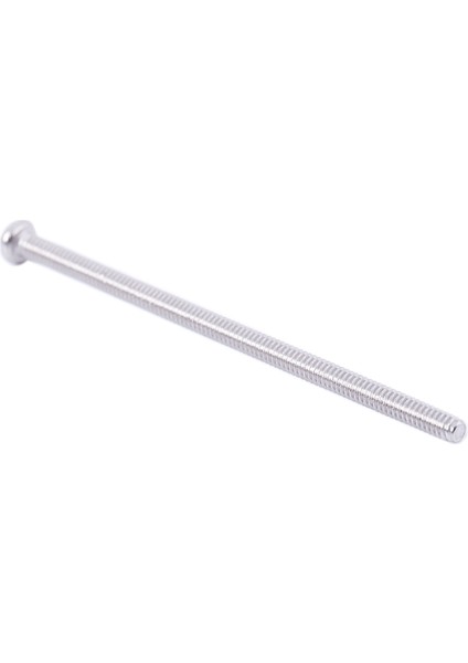 60 x Gümüş Ton M2 * 40MM 304 Paslanmaz Çelik Yuvarlak Başlı Vida Cıvatası (Yurt Dışından)