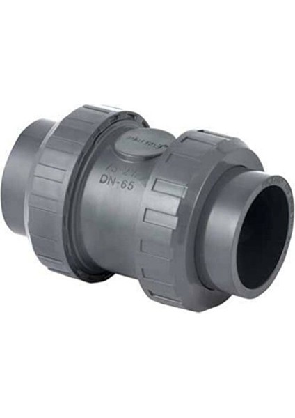 50 mm Pvc Yaylı Çekvalf