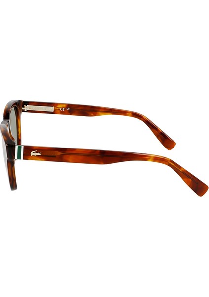 L6015S 218 49 Unisex Kırçıllı Kahverengi Kemik Güneş Gözlüğü modelleri