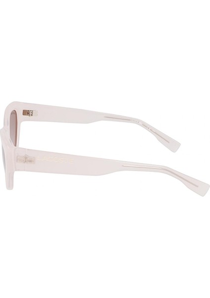 L 6013S 272 54 Kadın Cat Eye Şeffaf Nude Güneş Gözlüğü modelleri