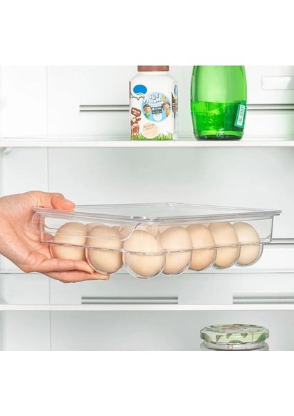 15 Bölmeli Kapaklı Yumurta Saklama Kabı Buzdolabı Organizer fiyatları