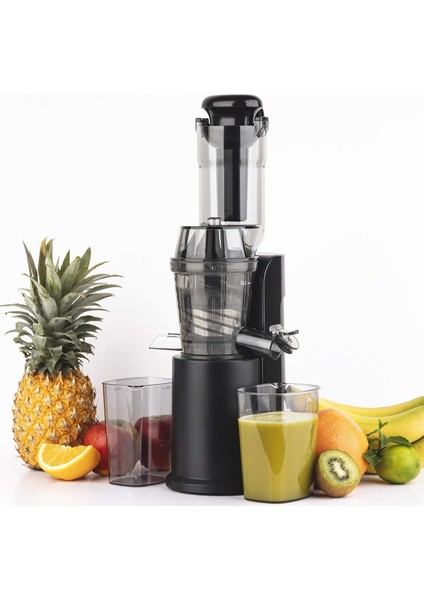 GSX16 - Dikey Meyve ve Sebze Suyu Sıkacağı 60 Rpm 250W