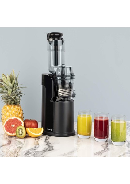 GSX16 - Dikey Meyve ve Sebze Suyu Sıkacağı 60 Rpm 250W indirimleri