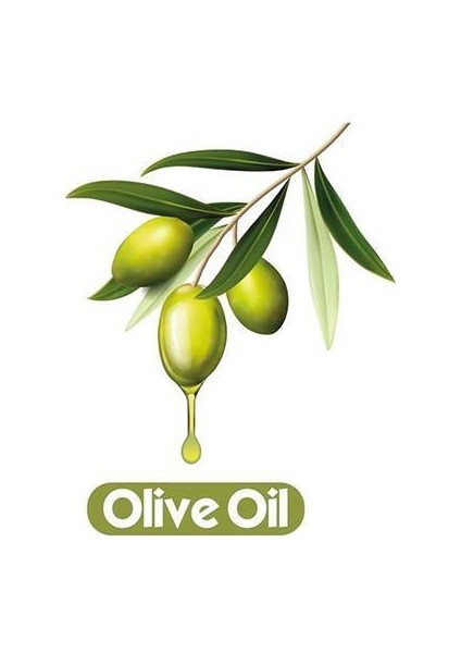 Islak Havlu Zeytinyağlı 90 Yaprak x 24 Adet Ekonomik Koli modelleri