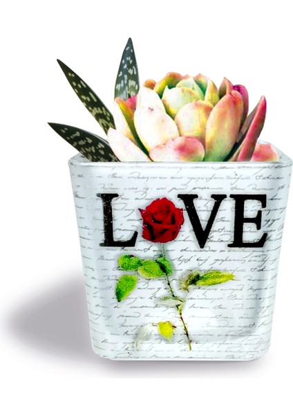 DEKORATİF BUZLU CAM MUMLUK LOVE DESEN 8X8 CM (2 Adet)