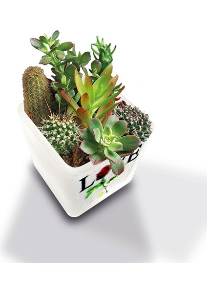 DEKORATİF BUZLU CAM MUMLUK LOVE DESEN 8X8 CM (2 Adet)