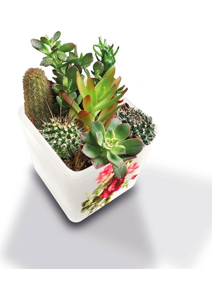 DEKORATİF BUZLU CAM MUMLUK VİNTAGE GÜLLÜ DESEN 8X8 CM (2 Adet)