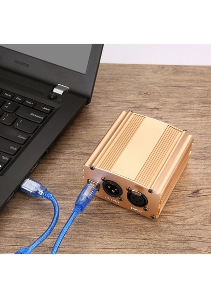 Mikrofon Müzik Altın Için 1,5m USB Kablosuyla Güçlendirilen 48V Güç Ğı (Yurt Dışından) fırsatları